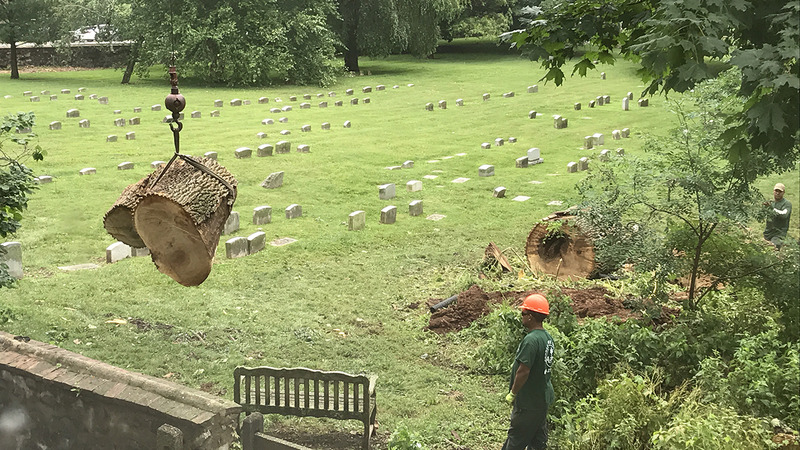 planting and removal